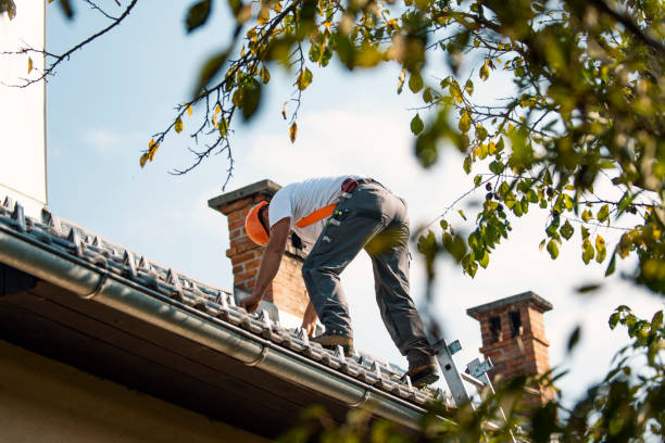 Best Residential Roofing Contractor  in Odon, IN