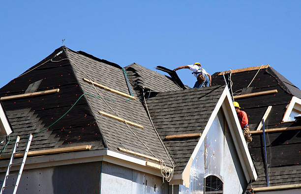 Best Roof Repair Services  in Odon, IN