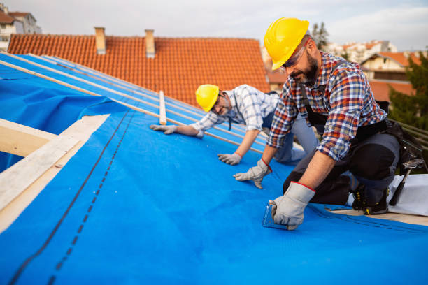 Best Local Roofing Companies  in Odon, IN