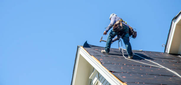 Best Roof Leak Repair  in Odon, IN